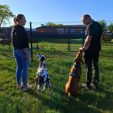 Leinenführigkeit_ohne_Hunde_an_der_Leine
