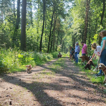 Junghundekurs_im_Wald_Tüdick