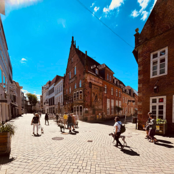 Hundetraining_Innenstadt_Oldenburg