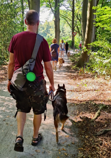 Social_Walk_mit_Hund_im_Wald