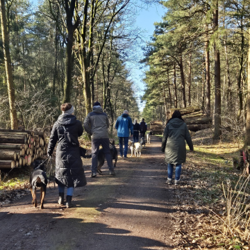 Social_Walk_Wald