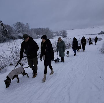 SocialWalk_Utkiek_Oldenburg