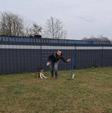 Impulskontrolle_Hund_rollender_Gegenstand