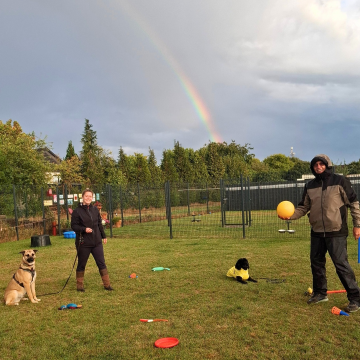 Hunde_lernen_Reize_auszuhalten