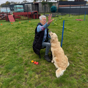 Hund_haelt_Ballwurf_aus