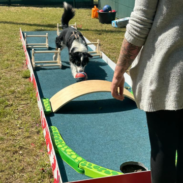 Doggigolf_von_Doggifun
