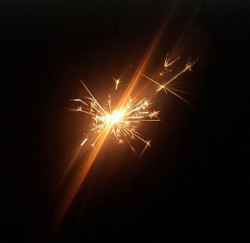 Silvestertraining_fuer_Hunde