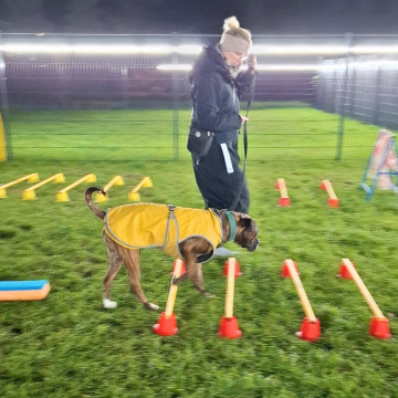 Cavaletti_Parcour_als_Physioübung