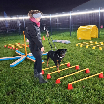 Langsames_laufen_über_Cavalettistangen