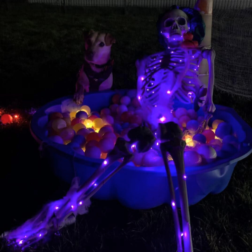 Hund_neben_Skelett_an_Halloween