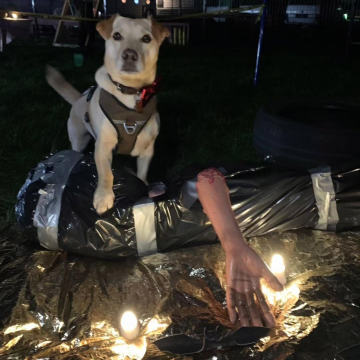Gruseln_mit_Hund_und_Spaß