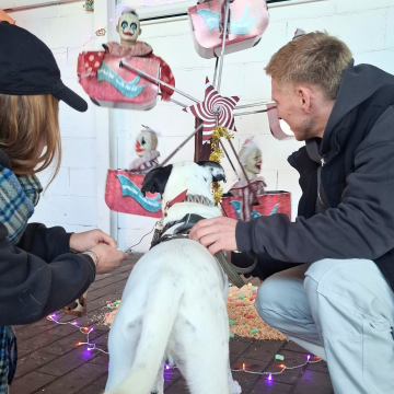 Umweltsozialisierung_Halloween_mit_Hund