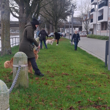 Hundephysiowalk_im_Zentrum_von_Oldenburg