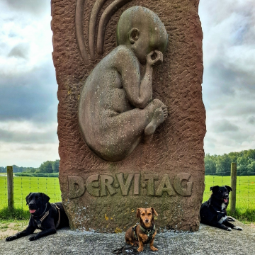 Hundewanderung_Oldenburg_und_Umgebung