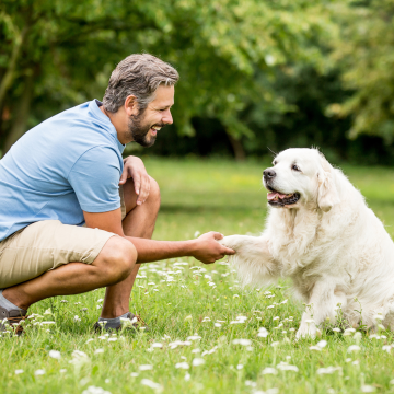 Nur_Maenner_im_Hundetraining