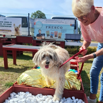 Seniorin_Ursula_trainiert_mit_ihrem_Hund